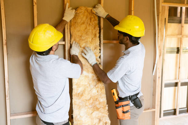 Best Residential Insulation Services  in St Matthews, SC