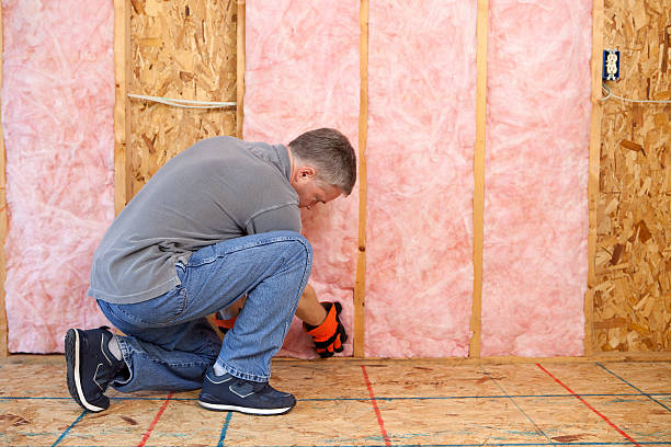 Best Energy-efficient Insulation  in St Matthews, SC